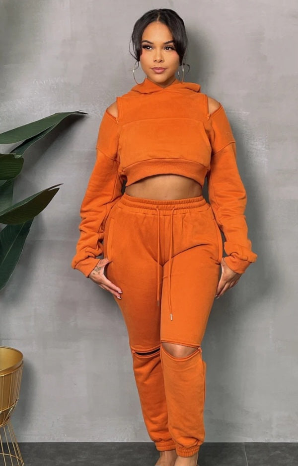 Zipper Crop Top Sweatsuit